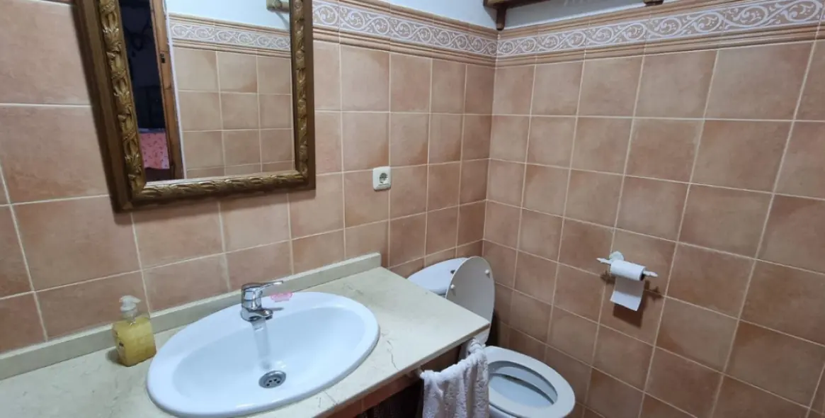 Venta de finca - cortijo en Alhaurín de la Torre 20