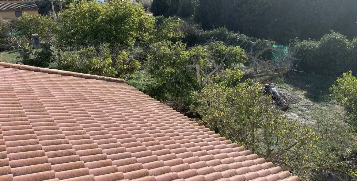 Venta de finca - cortijo en Alhaurín de la Torre 39