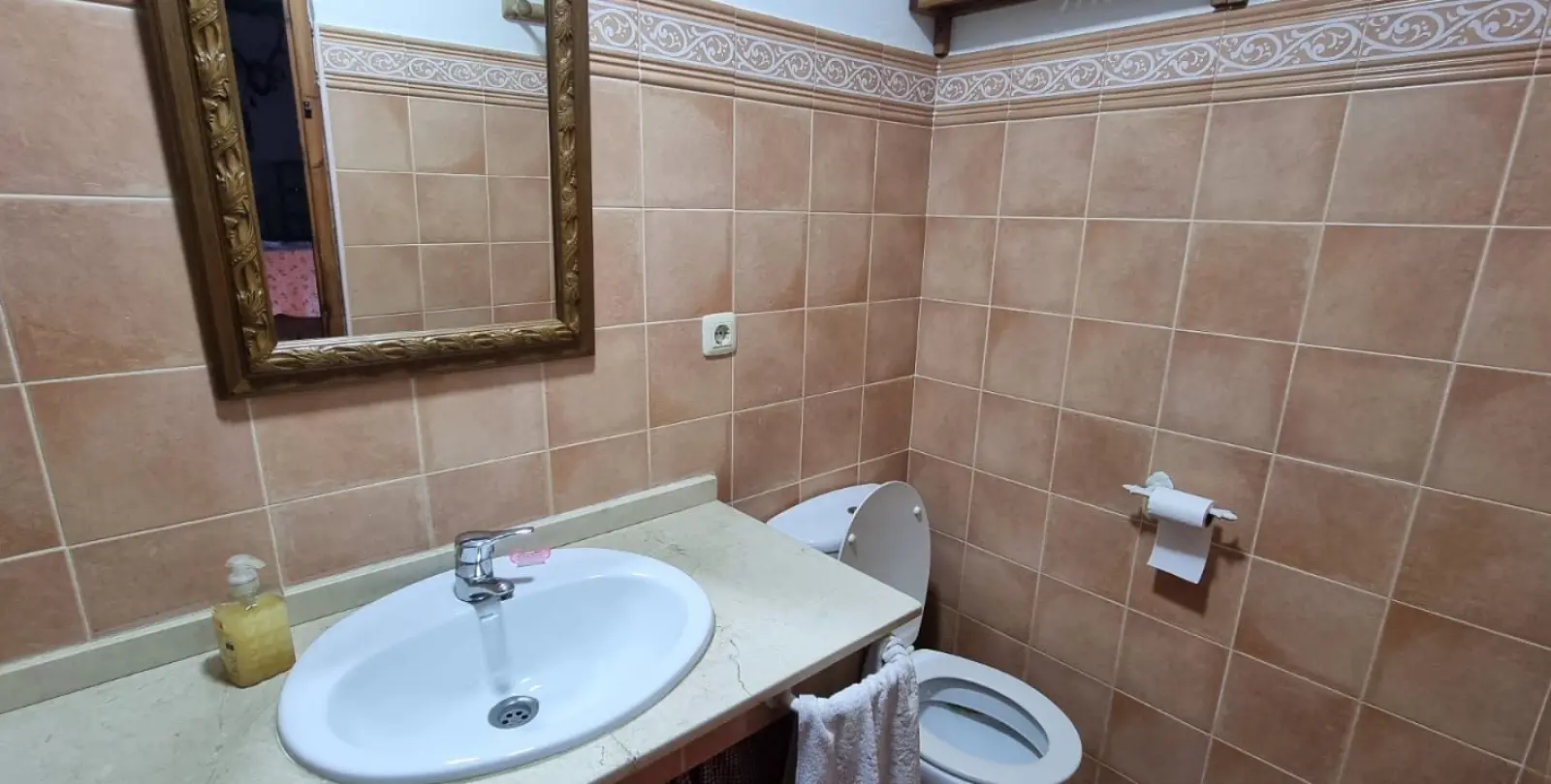 Продажа финки в Alhaurín de la Torre 20