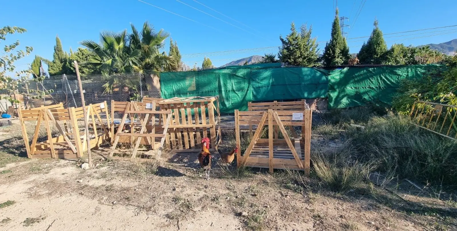 Продажа финки в Alhaurín de la Torre 32