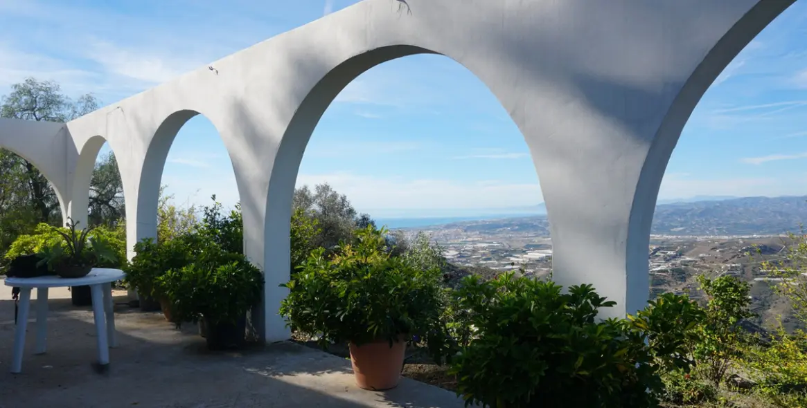 Продажа финки в Sayalonga 1