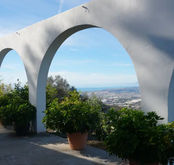 Продажа финки в Sayalonga