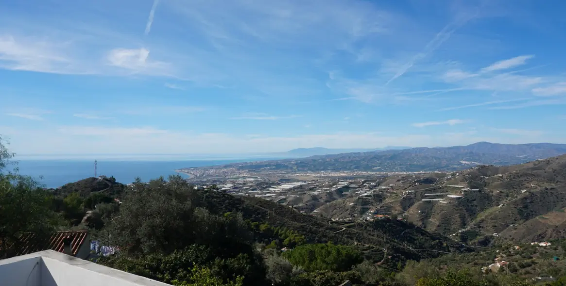 Продажа финки в Sayalonga 2