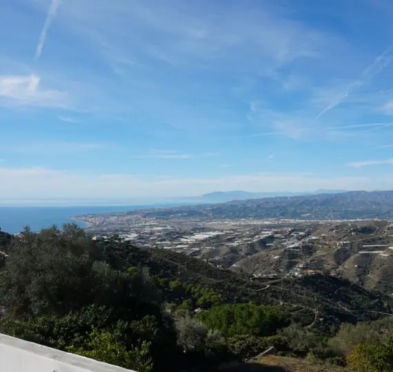 Продажа финки в Sayalonga