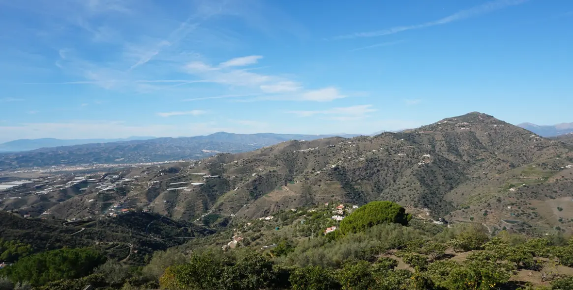 Продажа финки в Sayalonga 3