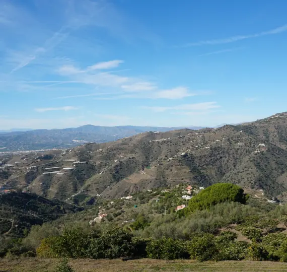 Продажа финки в Sayalonga