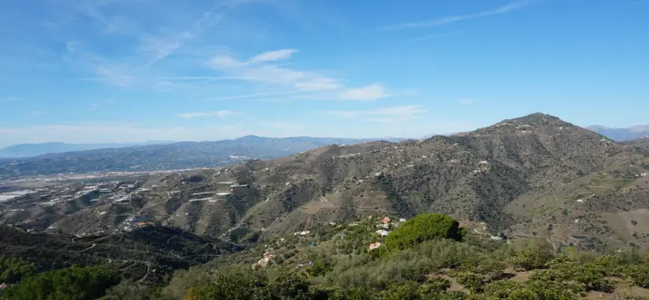 Продажа финки в Sayalonga 2