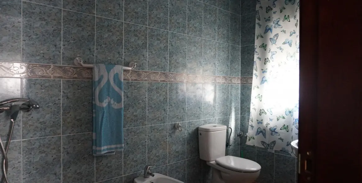 Продажа финки в Sayalonga 14