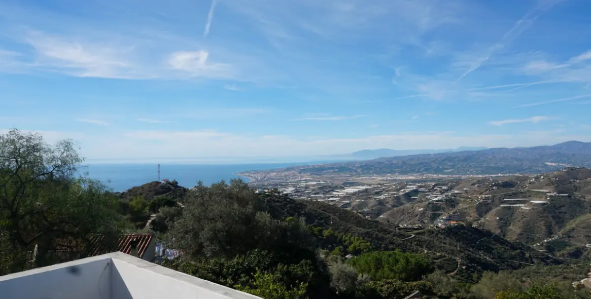 Продажа финки в Sayalonga 26