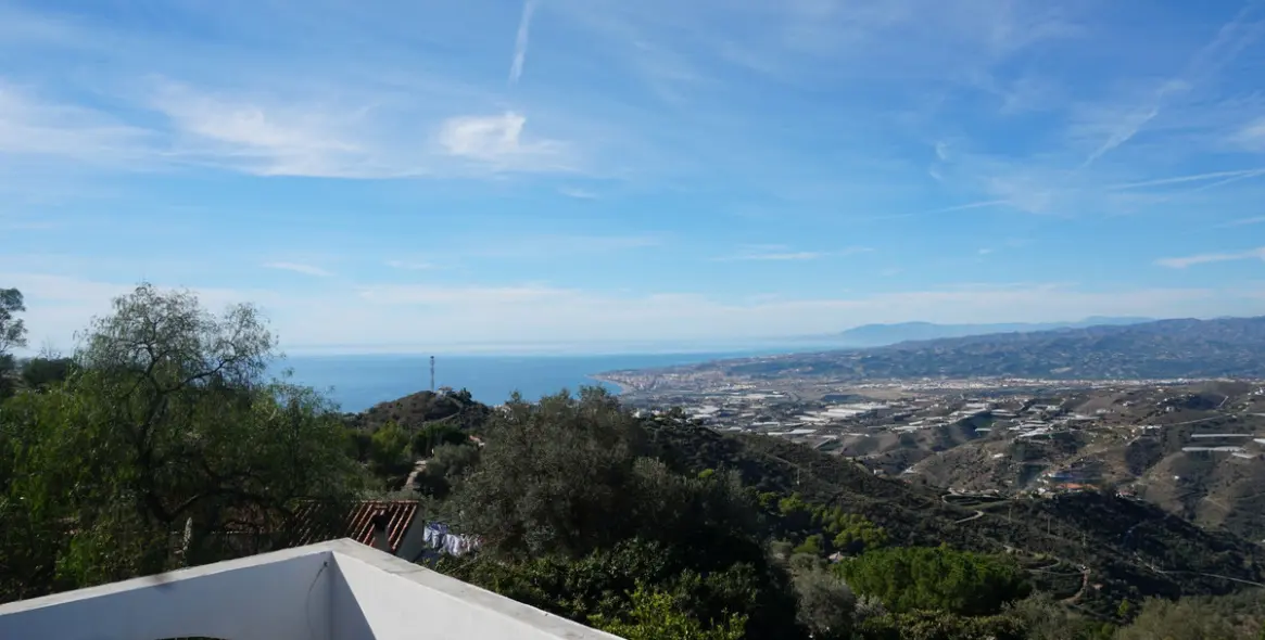 Продажа финки в Sayalonga 27