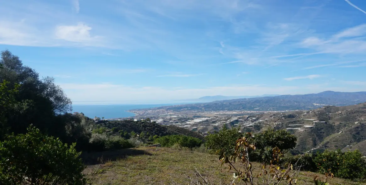 Продажа финки в Sayalonga 28