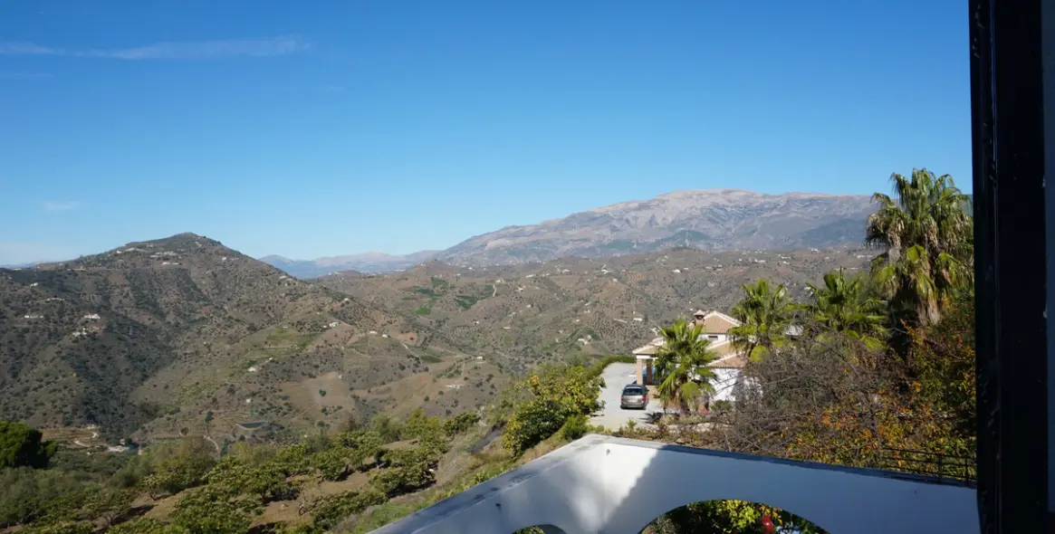 Продажа финки в Sayalonga 30