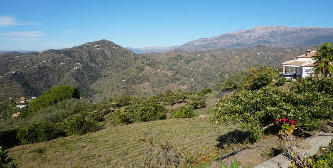 Продажа финки в Sayalonga 31