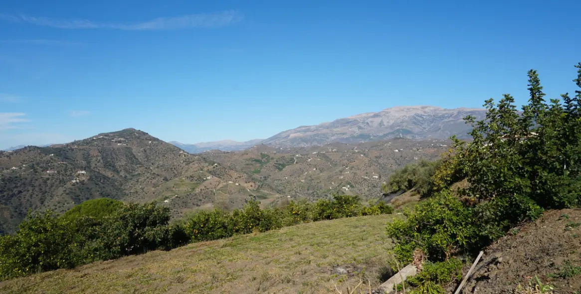 Продажа финки в Sayalonga 32