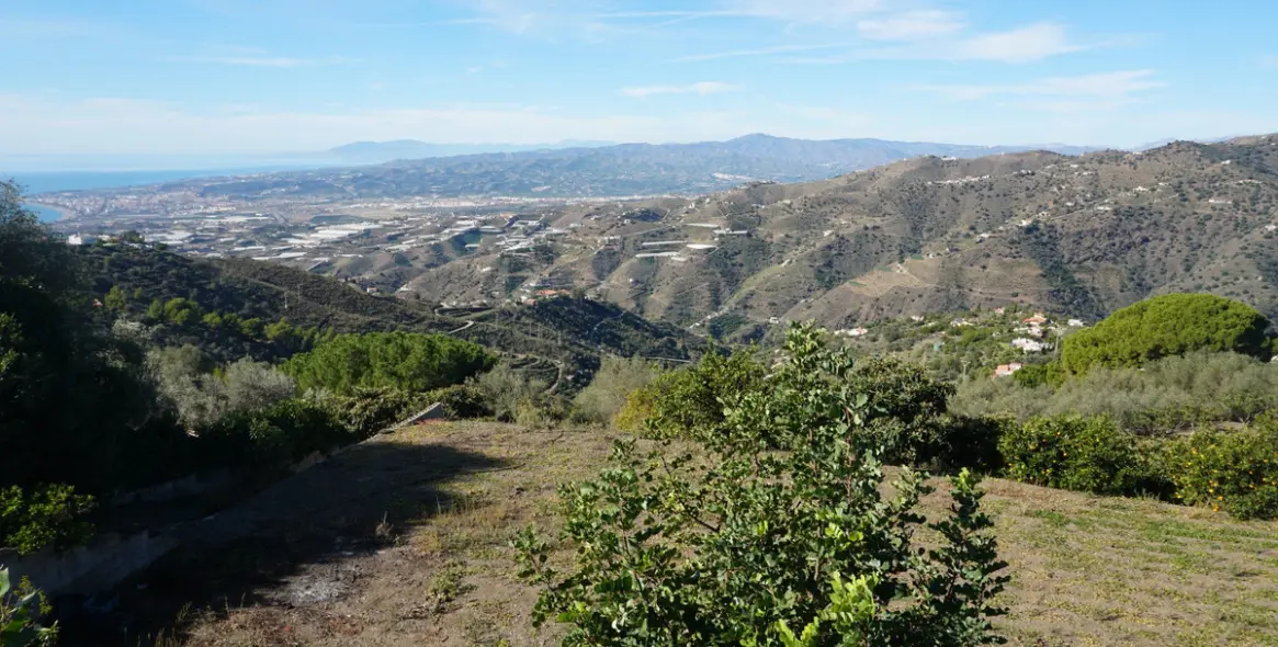 Продажа финки в Sayalonga 33