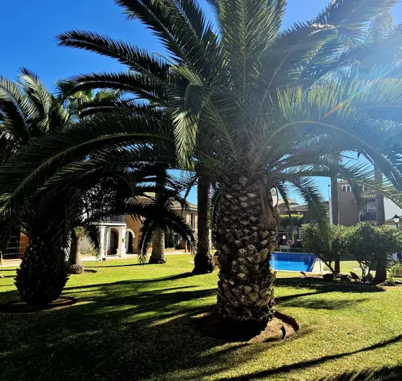 Sale of ground floor apartment in Fuengirola