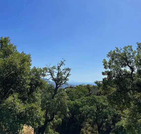 Sale of residential plot in La Mairena