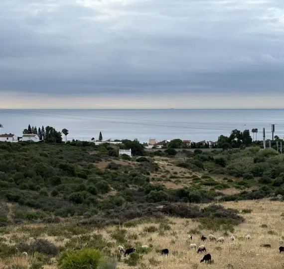 Sale of penthouse in Estepona