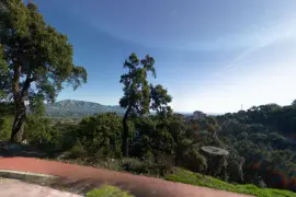Image 1 thumb