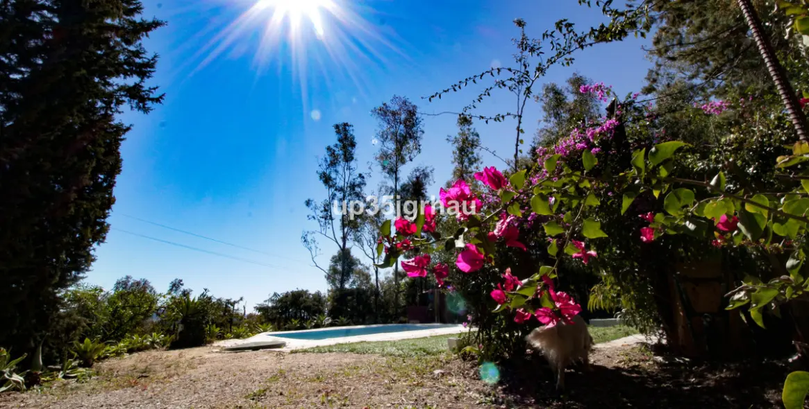 Продажа  отдельно стоящей виллы в Gaucín 10