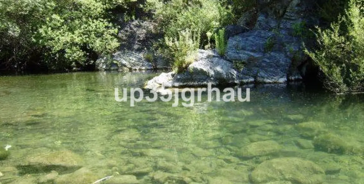 Продажа  отдельно стоящей виллы в Gaucín 43