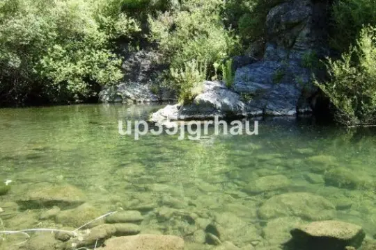 Image 43 thumb