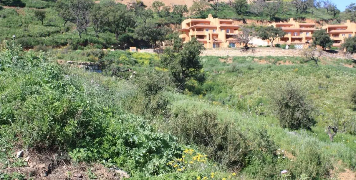 Продажа  жилого участка в La Mairena 6