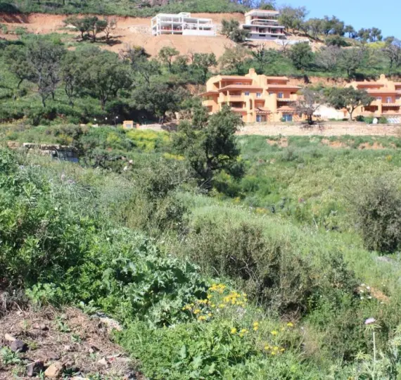 Продажа  жилого участка в La Mairena