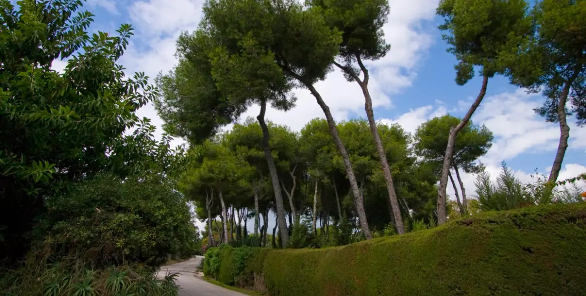 Продажа  жилого участка в La Mairena 10