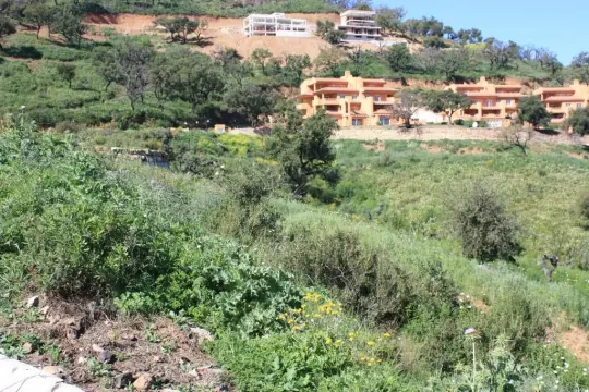 Image 6 thumb