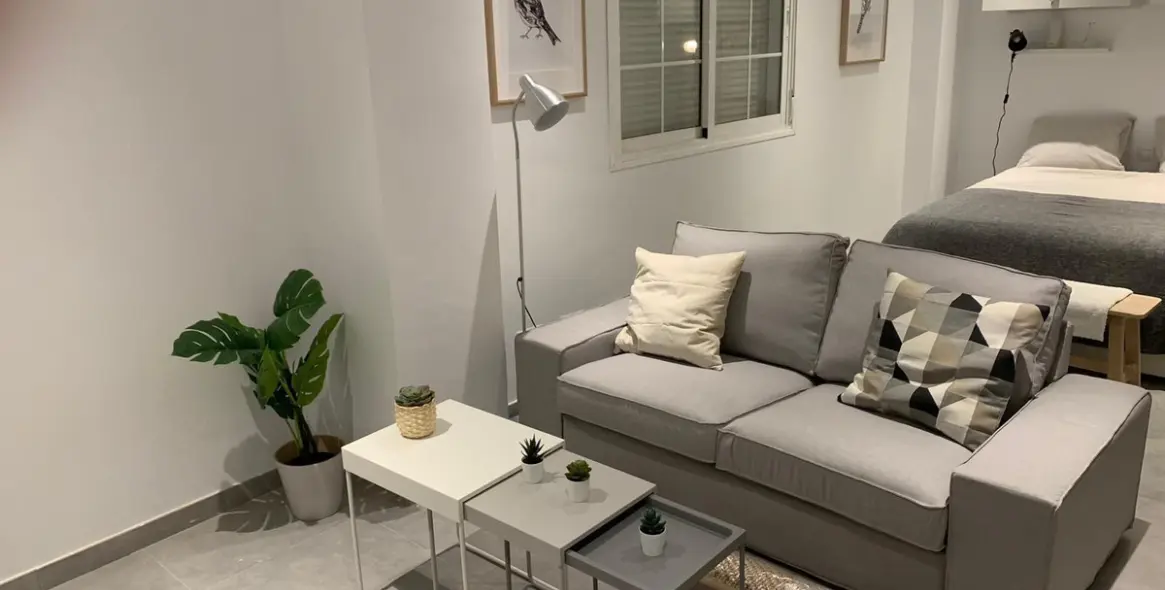 Sale of studio in San Pedro de Alcántara 2