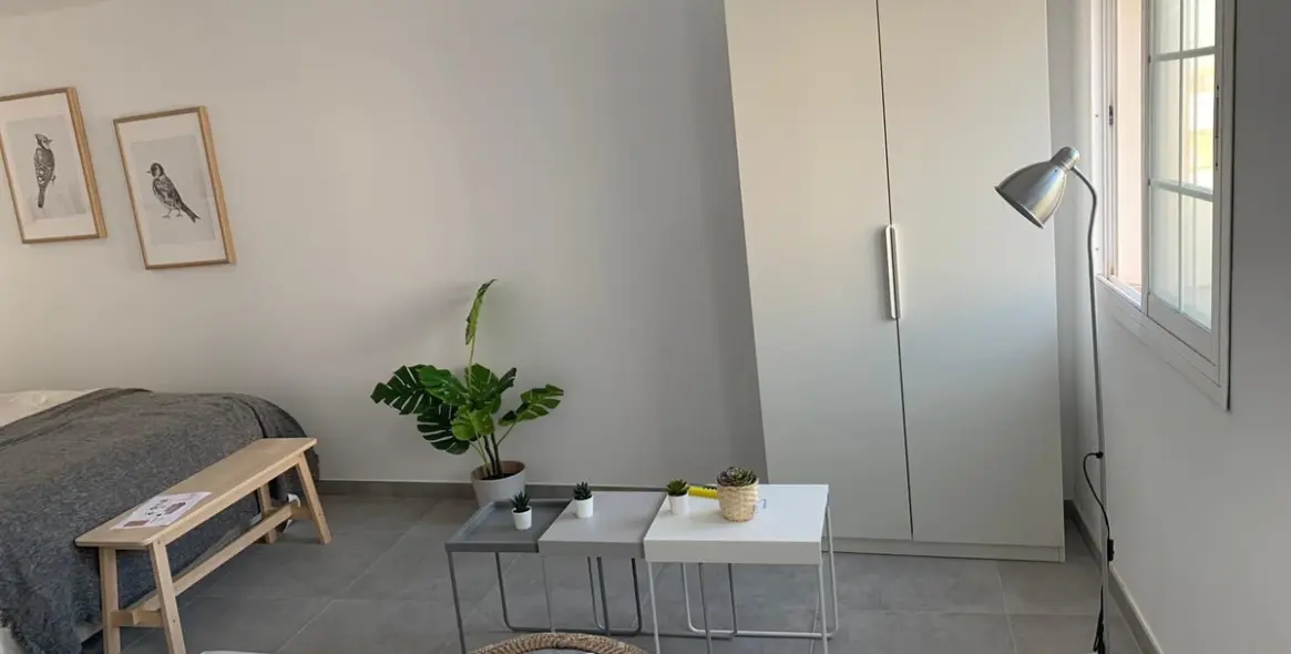 Sale of studio in San Pedro de Alcántara 3