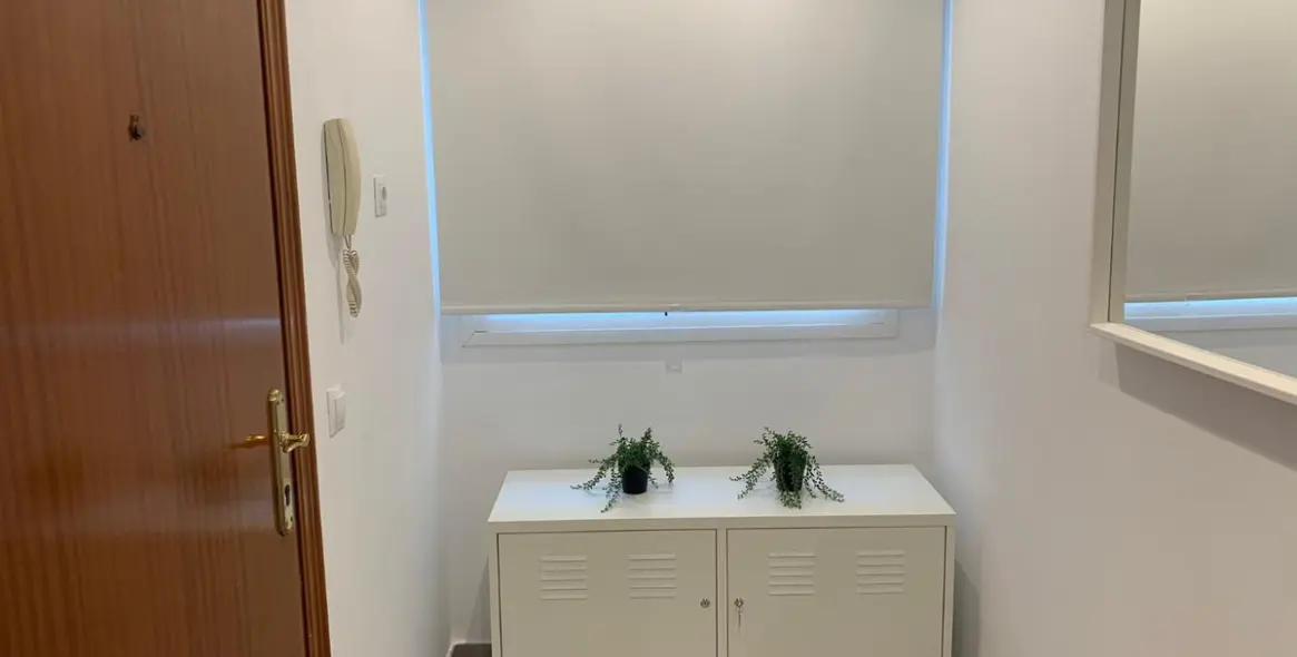 Sale of studio in San Pedro de Alcántara 4