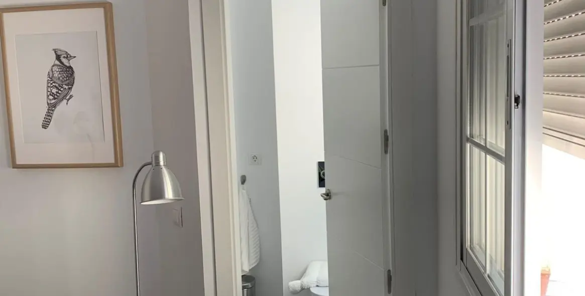 Sale of studio in San Pedro de Alcántara 11