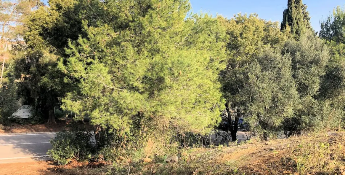 Sale of residential plot in Sotogrande Alto 2