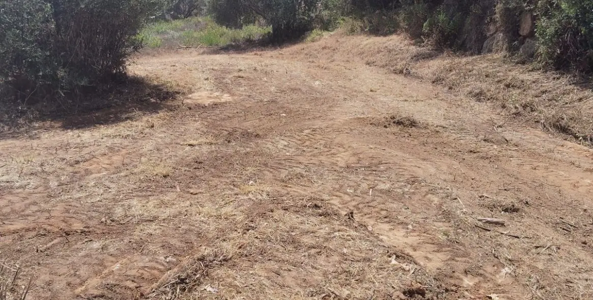 Sale of residential plot in Sotogrande Alto 4