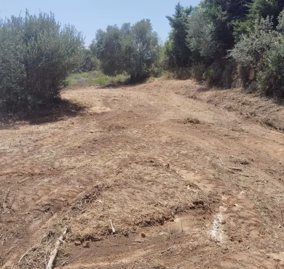 Venta de parcela residencial en Sotogrande Alto