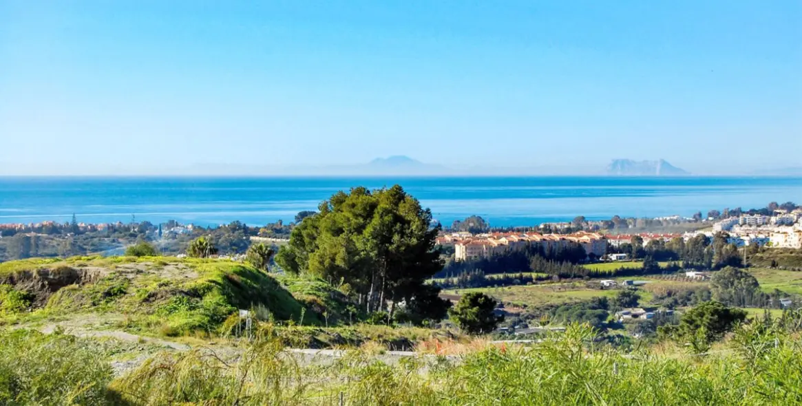 Sale of ground floor apartment in Los Flamingos 16