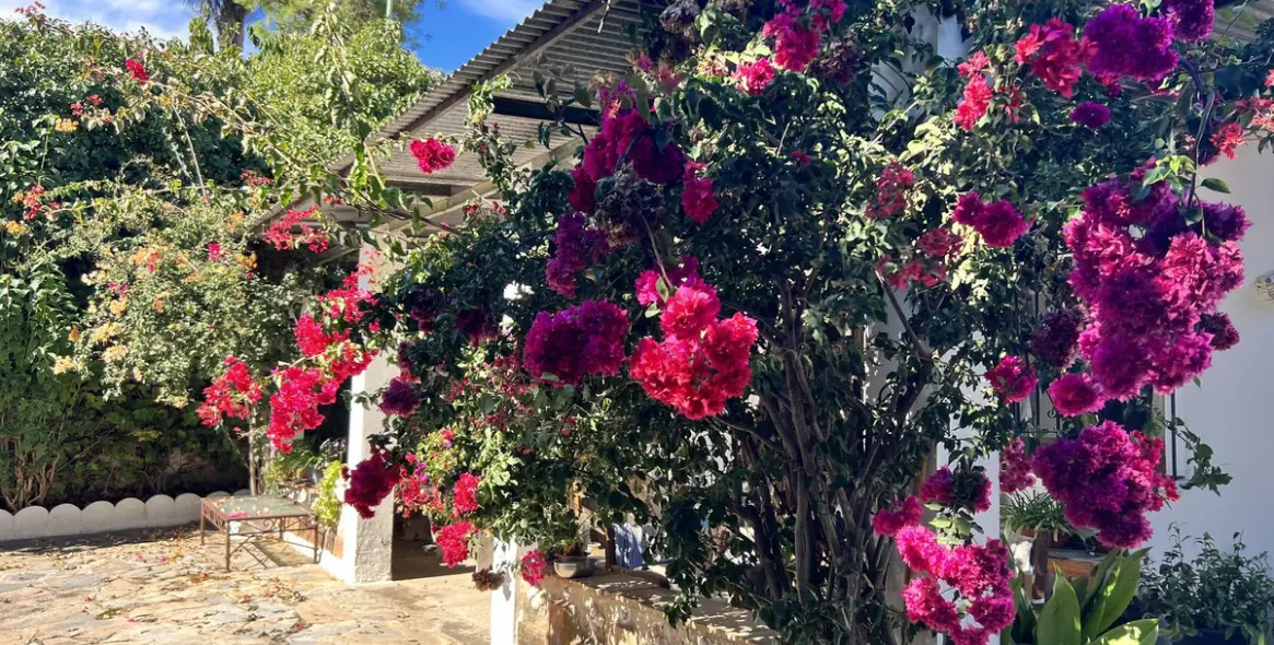 Sale of finca - cortijo in New Golden Mile 6