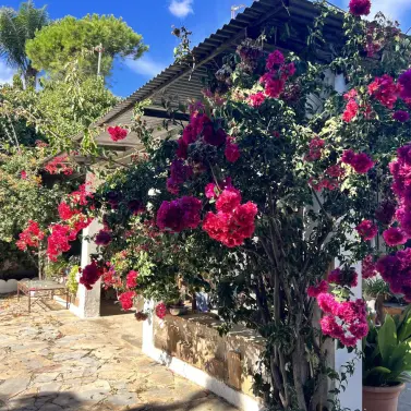 Продажа финки в New Golden Mile