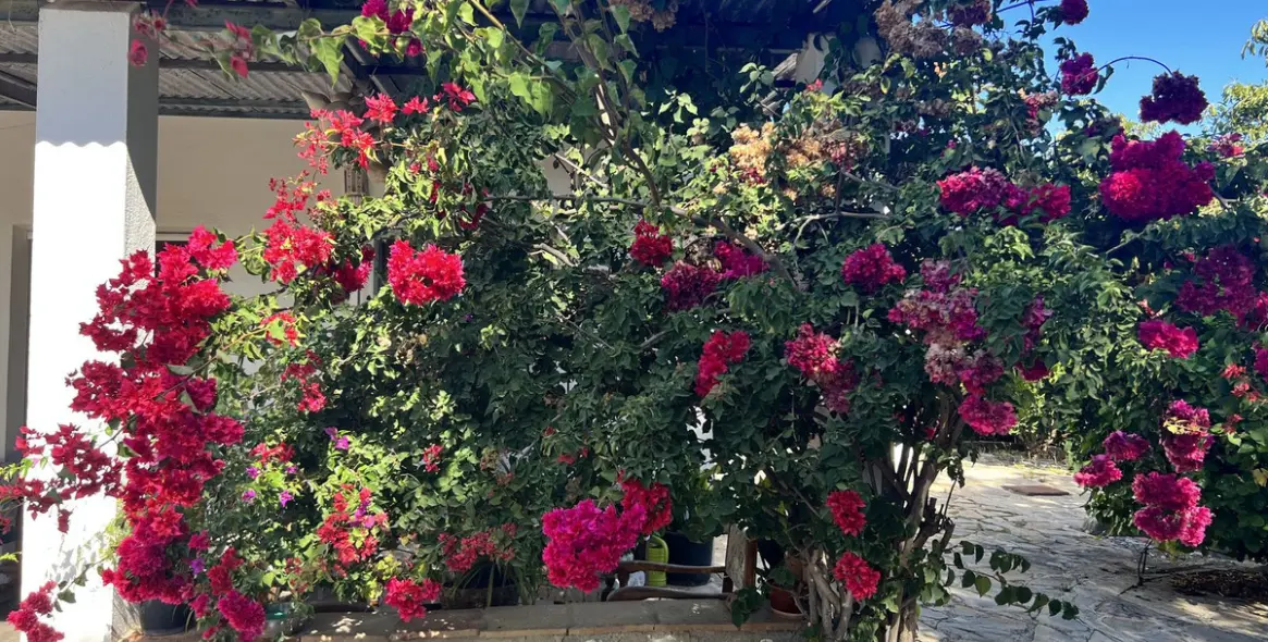 Sale of finca - cortijo in New Golden Mile 17