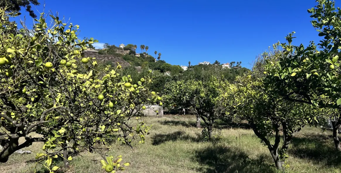 Sale of finca - cortijo in New Golden Mile 19