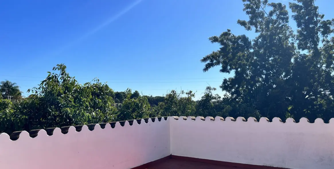 Sale of finca - cortijo in New Golden Mile 20