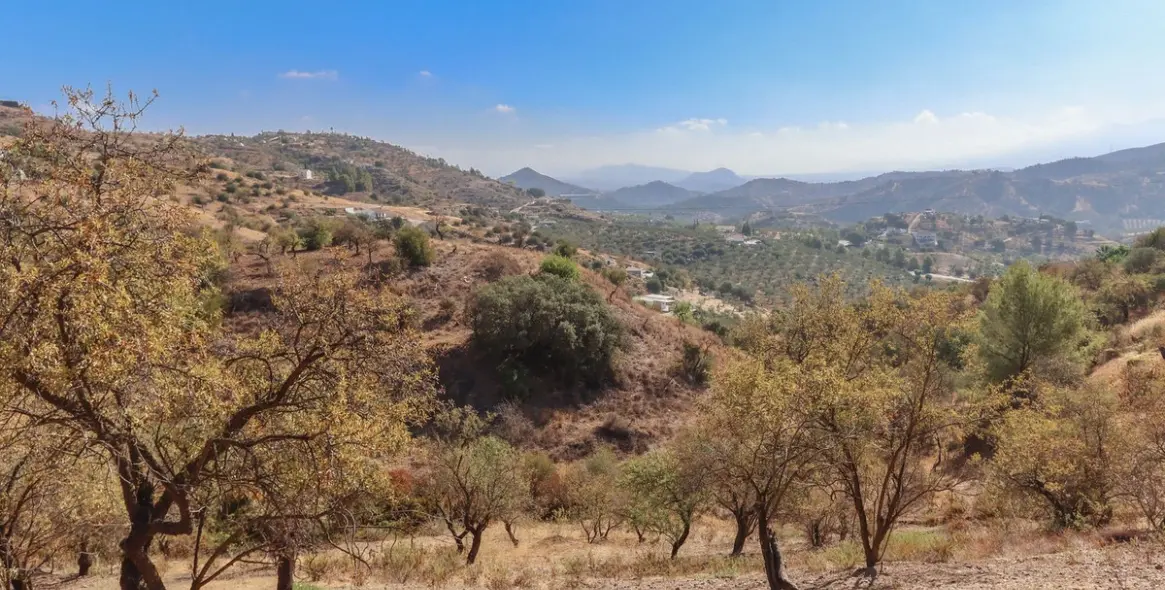 Sale of detached villa in Guaro 2