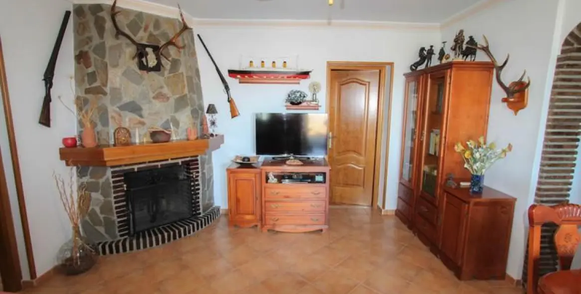Sale of detached villa in Guaro 18