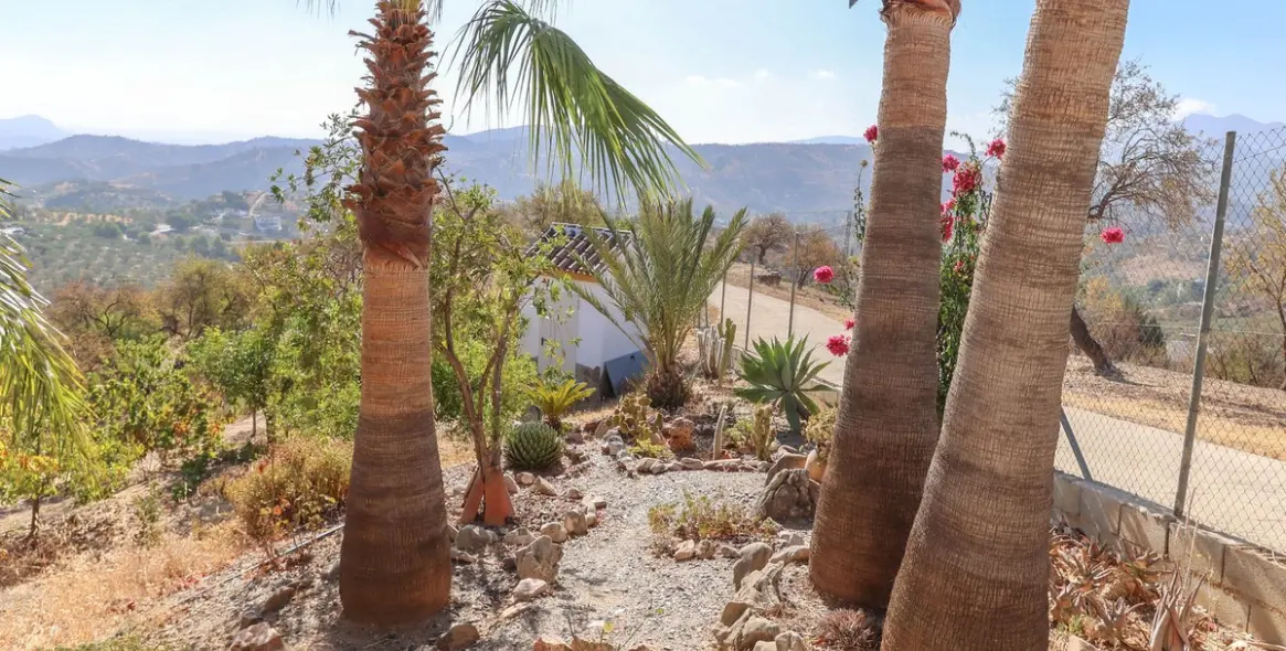 Продажа  отдельно стоящей виллы в Guaro 42