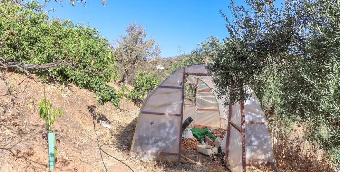 Продажа  отдельно стоящей виллы в Guaro 43