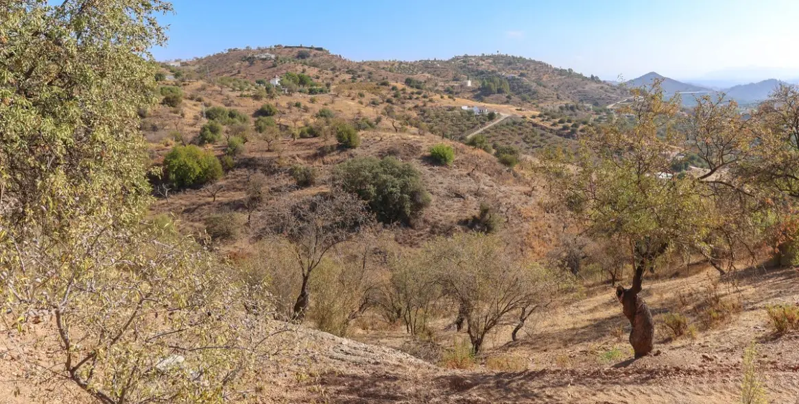 Продажа  отдельно стоящей виллы в Guaro 50