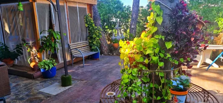 Sale of detached villa in El Faro 1