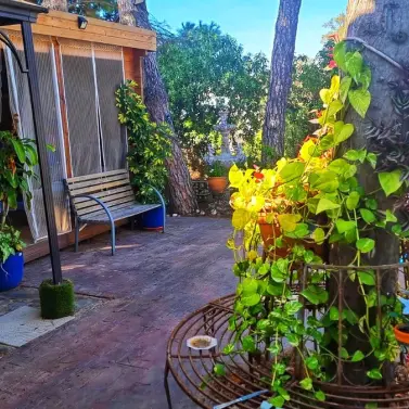 Venta de villa independiente en El Faro